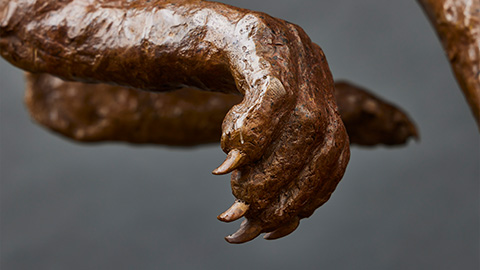 sculpted bronze hands with claws detail of artistry and craftsmanship